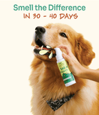 [10% OFF] Notti But I have Bad Breath (natural breath freshener additive) 100ml For Dogs & Cats