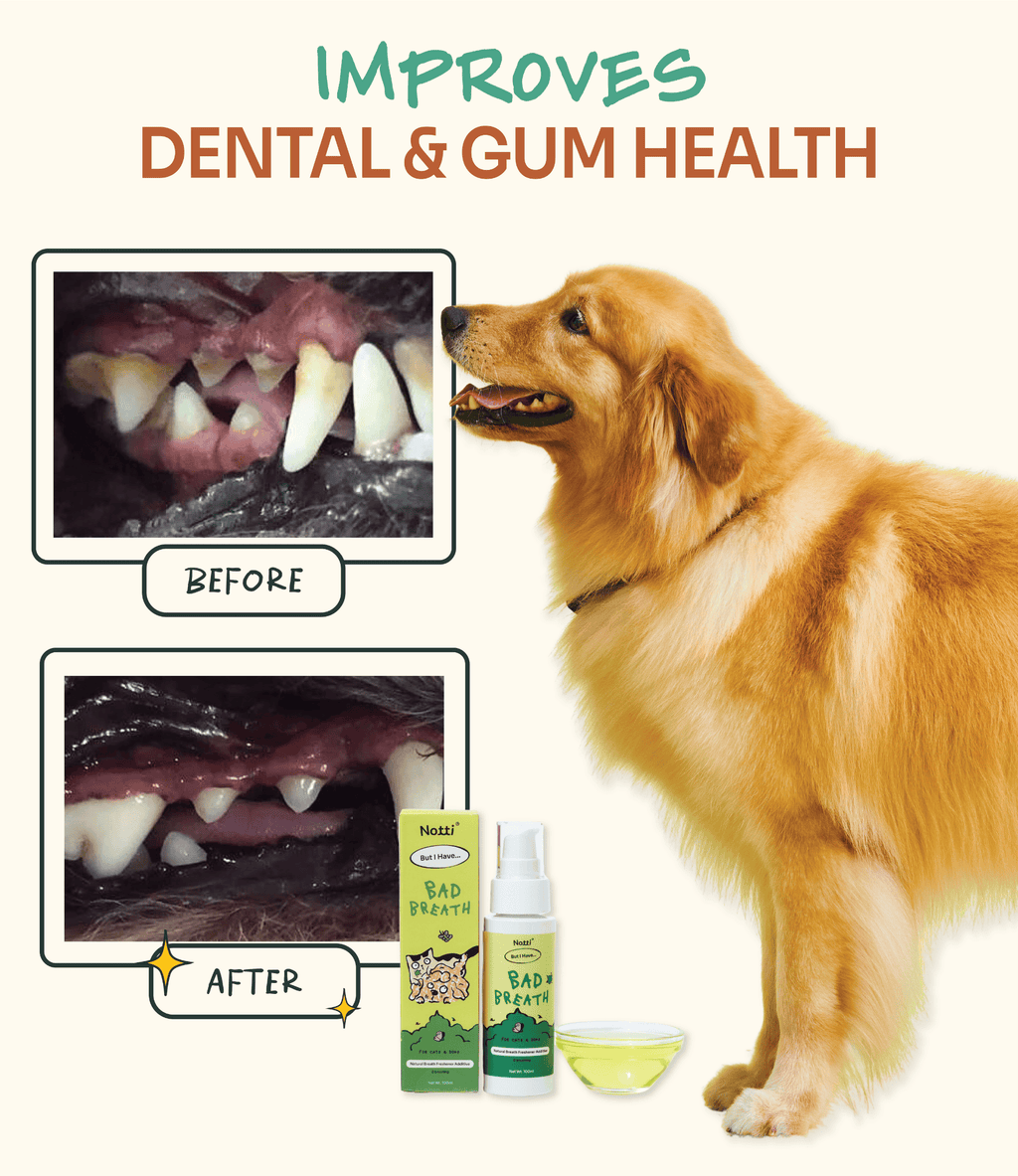 [10% OFF] Notti But I have Bad Breath (natural breath freshener additive) 100ml For Dogs & Cats