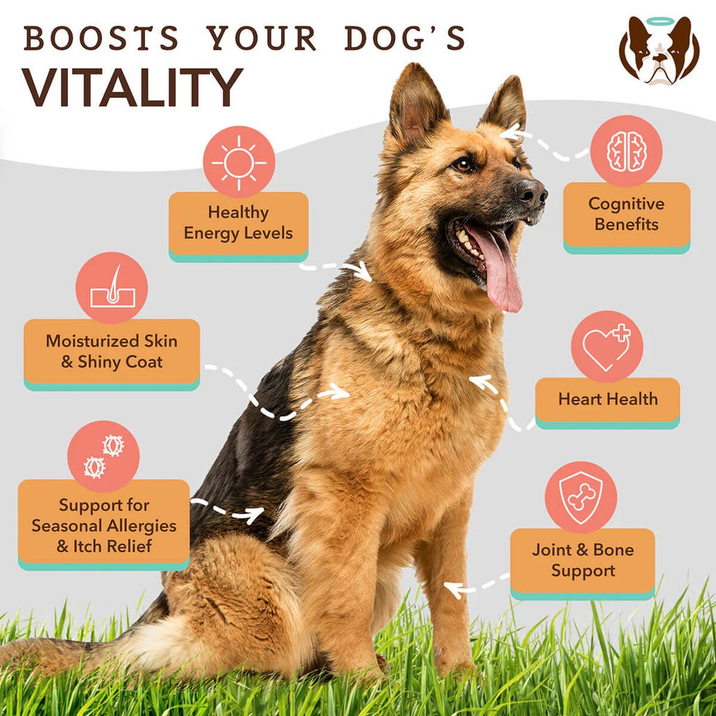 Natural Dog & Cats Supplement Wild Alaskan Salmon Oil (16oz)/(32oz)