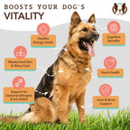 Natural Dog & Cats Supplement Wild Alaskan Salmon Oil (16oz)/(32oz)