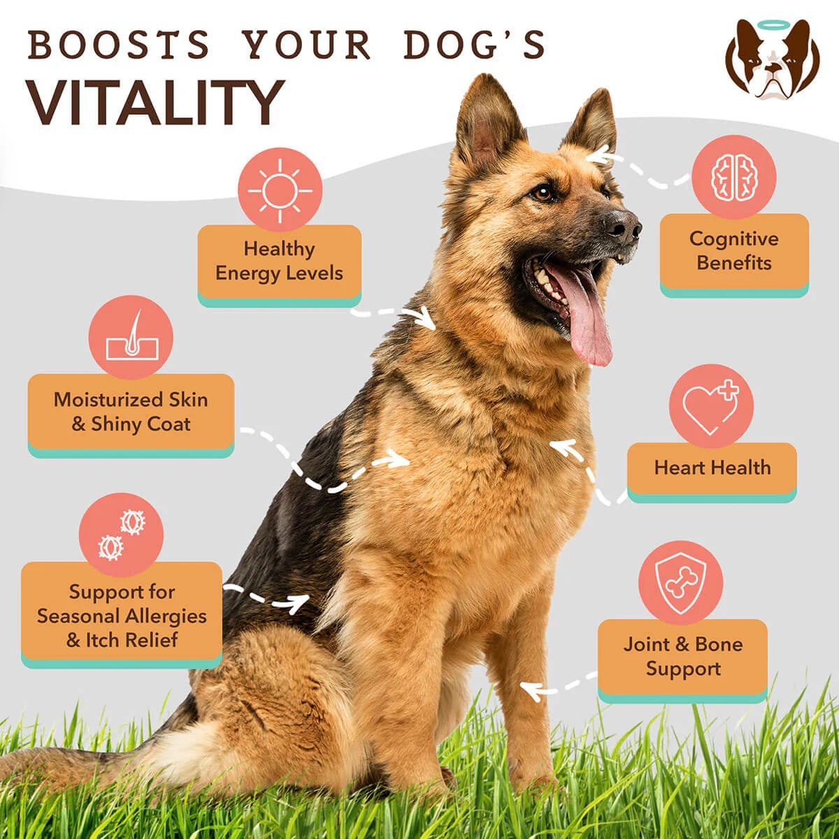 Natural Dog & Cats Supplement Wild Alaskan Salmon Oil (16oz)/(32oz)