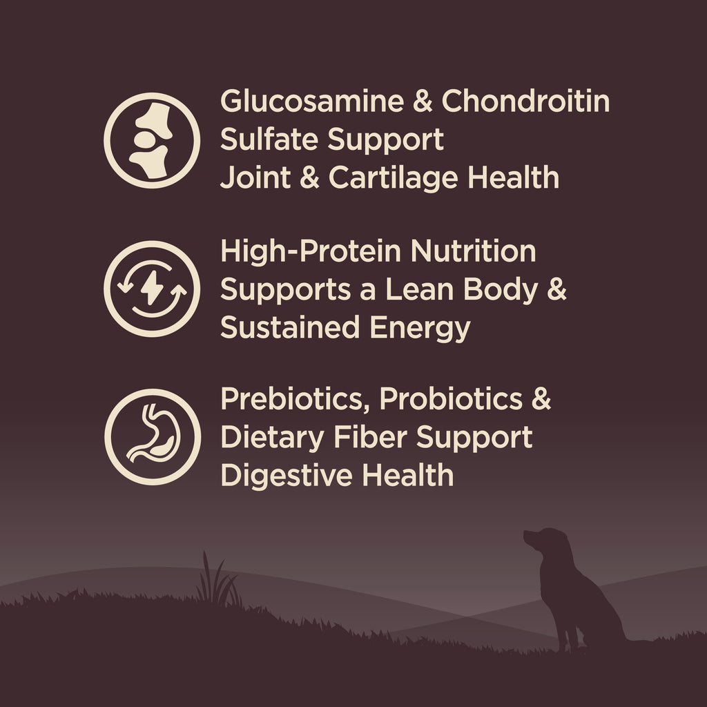 [FREE WIPE + UP TO 30% OFF]  Wellness Core Grain-free Senior Dry Dog Food (3 Sizes)