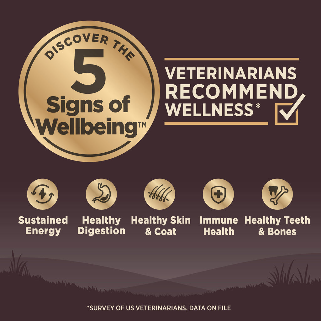 [FREE WIPE + UP TO 30% OFF]  Wellness Core Grain-free Senior Dry Dog Food (3 Sizes)