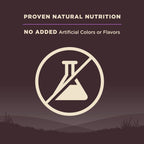 [FREE WIPE + UP TO 30% OFF]  Wellness Core Grain-free Senior Dry Dog Food (3 Sizes)