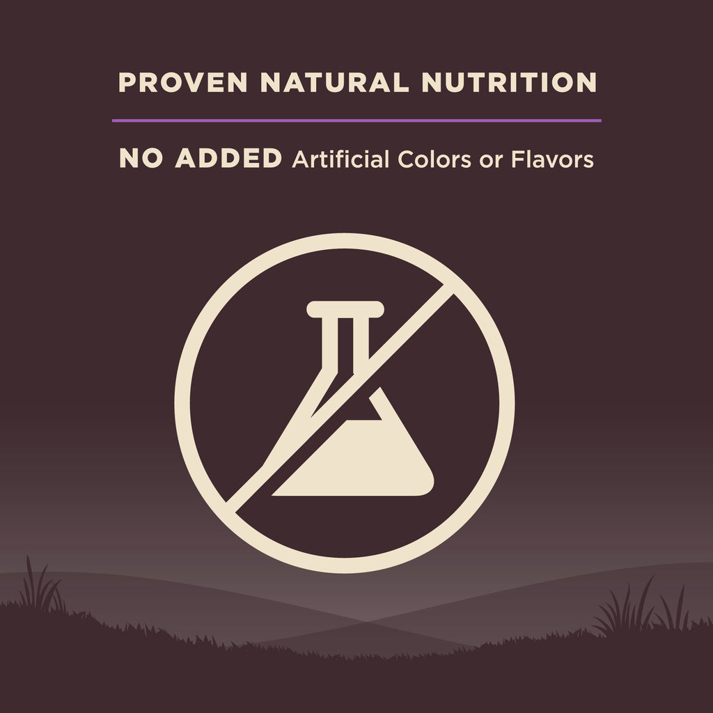 [FREE WIPE + UP TO 30% OFF]  Wellness Core Grain-free Senior Dry Dog Food (3 Sizes)