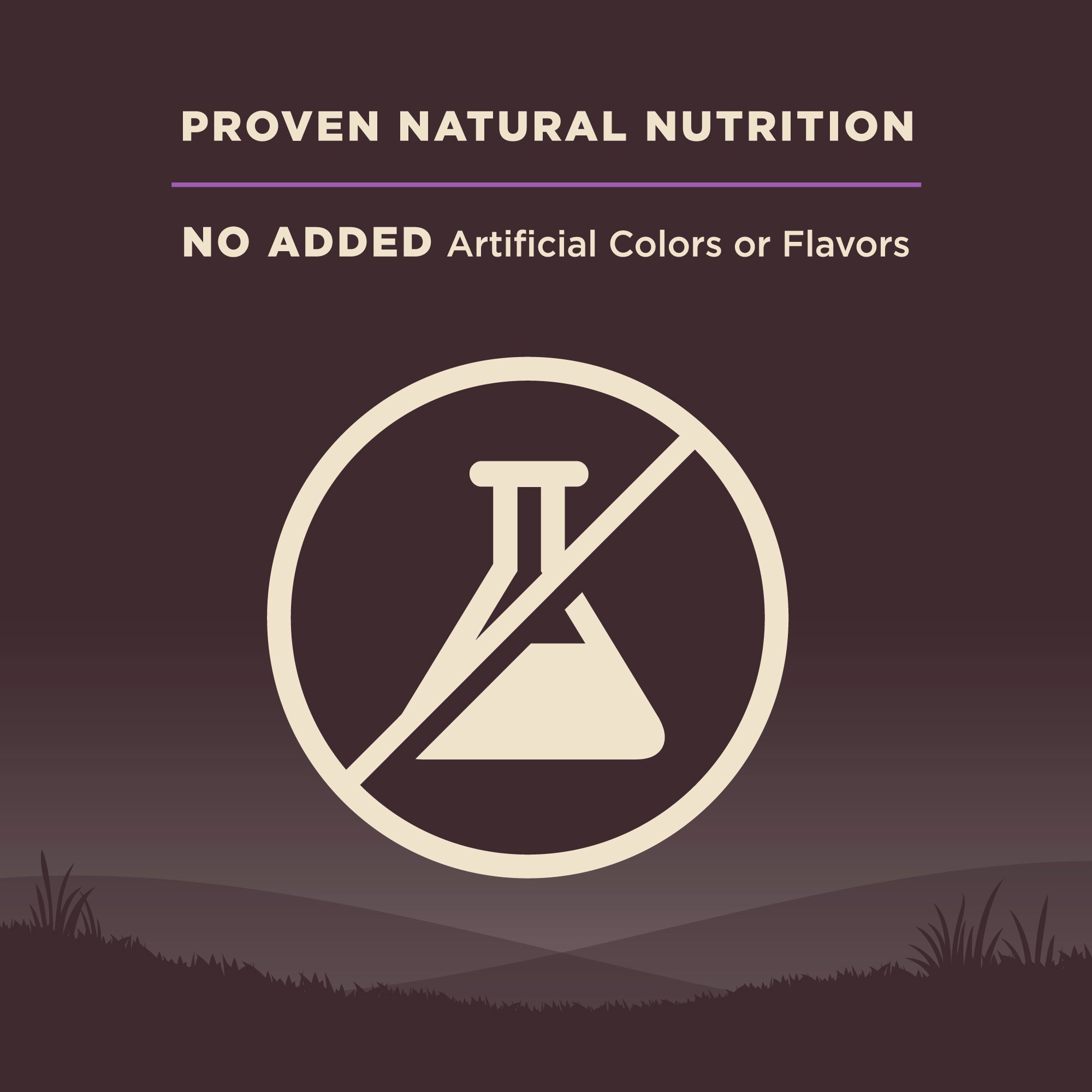[FREE WIPE + UP TO 30% OFF]  Wellness Core Grain-free Senior Dry Dog Food (3 Sizes)