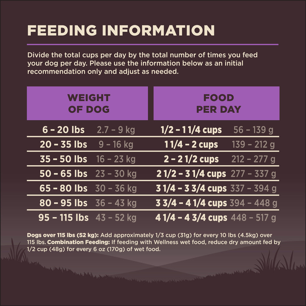 [FREE WIPE + UP TO 30% OFF]  Wellness Core Grain-free Senior Dry Dog Food (3 Sizes)