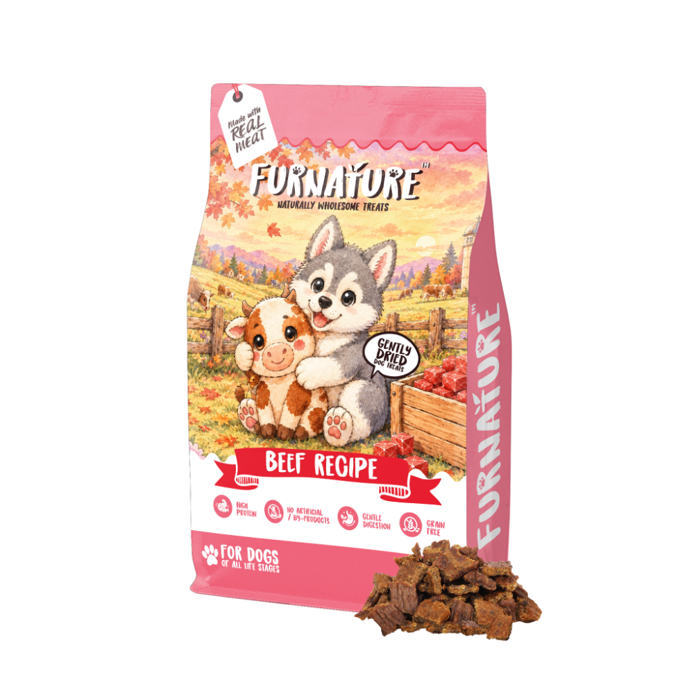 Fur Nature Natural Wholesome Gently Dried Dog Treats - Beef Recipe (200g)