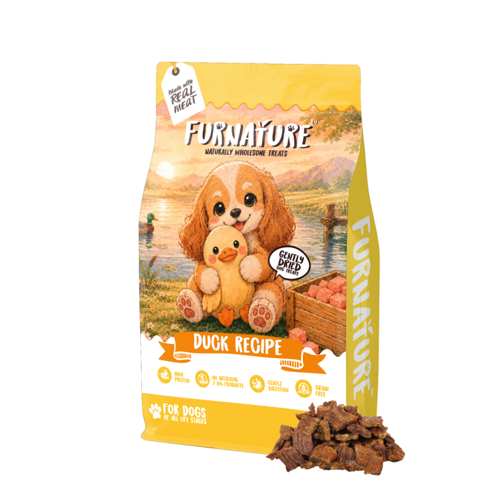 Fur Nature Natural Wholesome Gently Dried Dog Treats - Duck Recipe (200g)