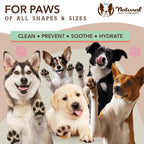 Natural Dog Company Paw Wipes For Dogs (50pcs)
