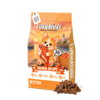 Fur Nature Natural Wholesome Gently Dried Dog Treats - Salmon Recipe (200g)