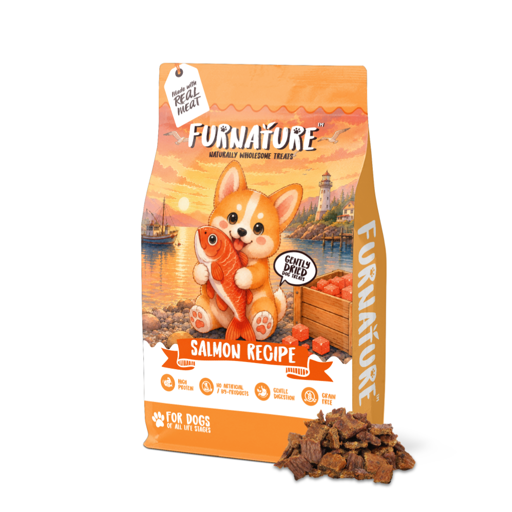 Fur Nature Natural Wholesome Gently Dried Dog Treats - Salmon Recipe (200g)