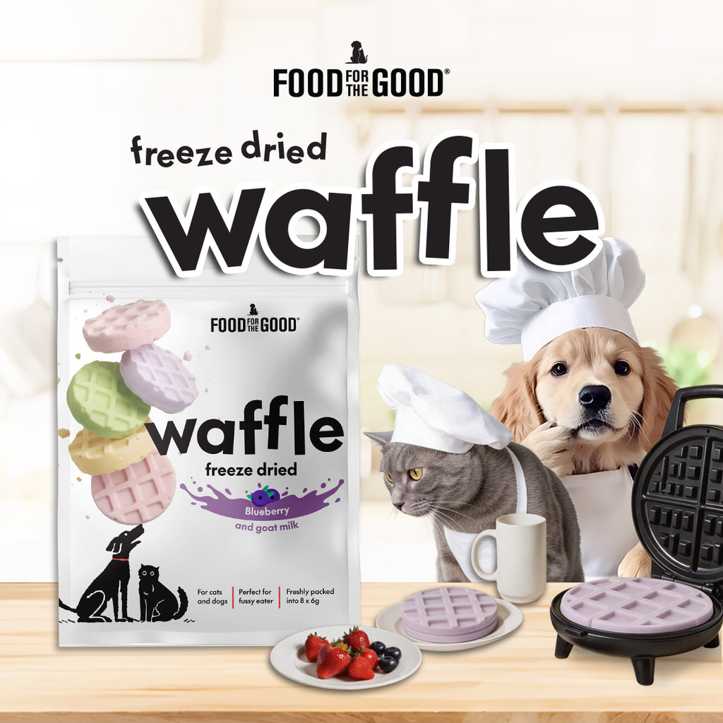 Food For The Good Freeze Dried Waffle - Blueberry & Goat Milk