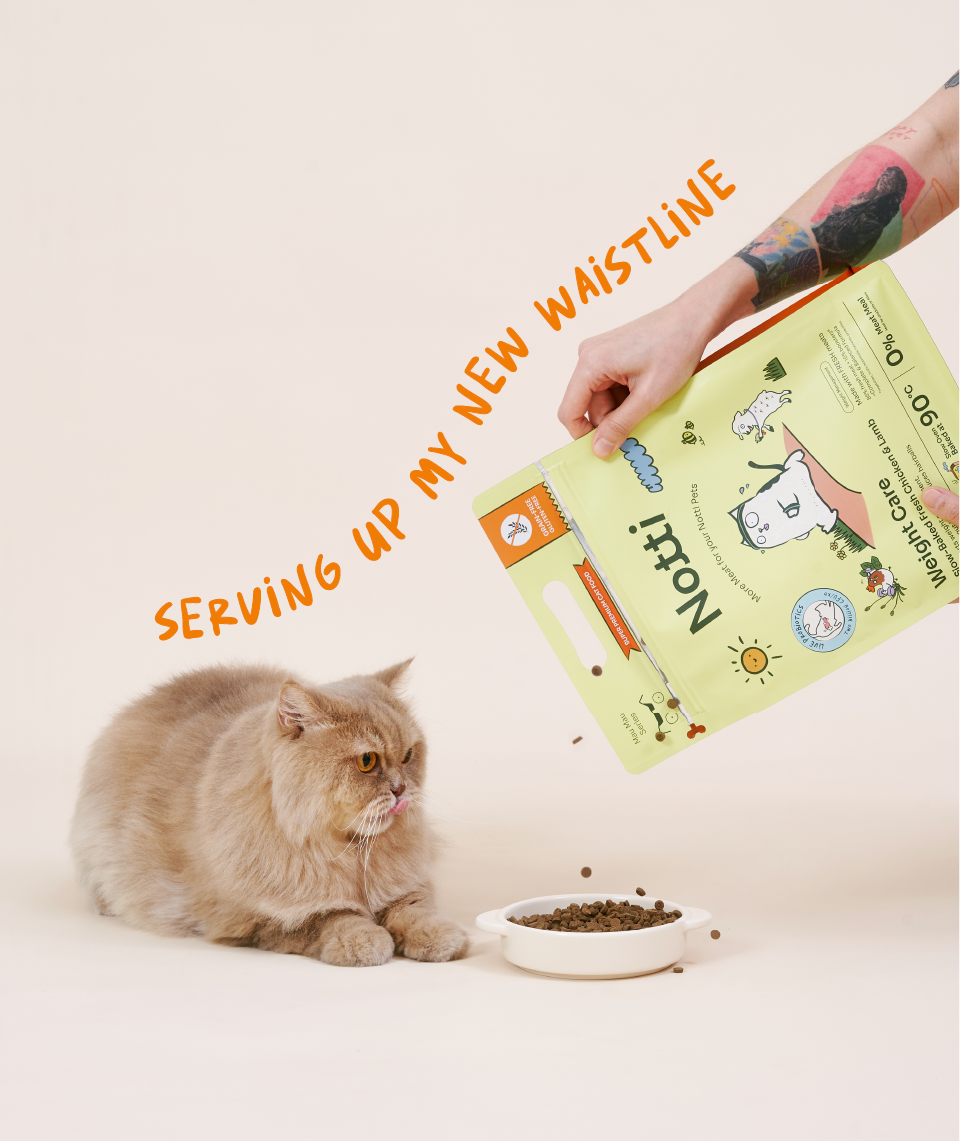 [10% OFF] Notti Slow-Baked Weight Care Fresh Chicken & Lamb Dry Cat Food1.5kg