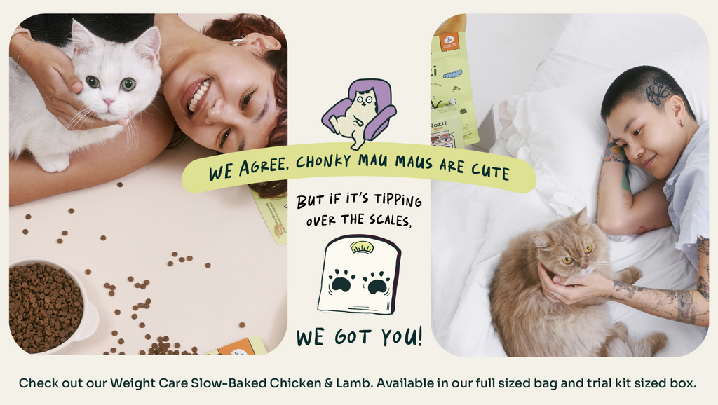 [10% OFF] Notti Slow-Baked Weight Care Fresh Chicken & Lamb Dry Cat Food1.5kg