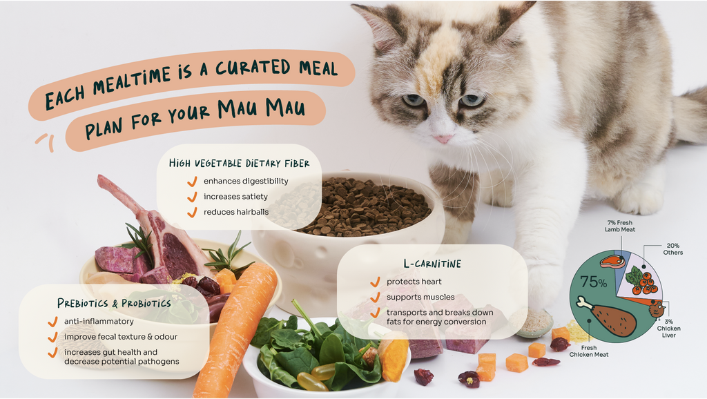 [10% OFF] Notti Slow-Baked Weight Care Fresh Chicken & Lamb Dry Cat Food1.5kg