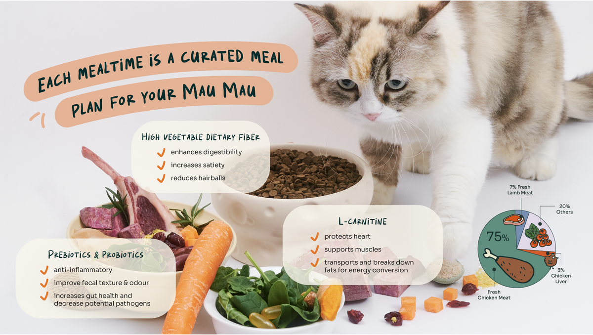 [10% OFF] Notti Slow-Baked Weight Care Fresh Chicken & Lamb Dry Cat Food1.5kg