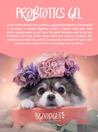 Good Gut Probiotics Gel For Dogs & Cats [Size: 15ml]