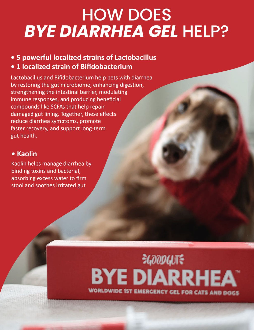 Good Gut Bye Diarrhea Gel For Dogs & Cats [Size: 15ml]