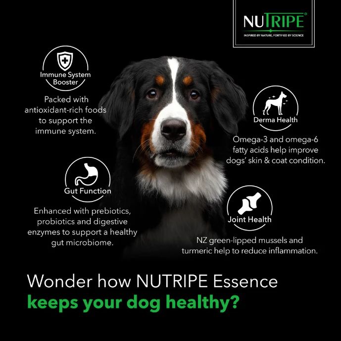 Nutripe Essence Australian Beef & Salmon With Green Tripe Dry Dog Food (2 Sizes)
