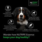 Nutripe Essence Australian Pork With Green Tripe Dry Dog Food (2 Sizes)