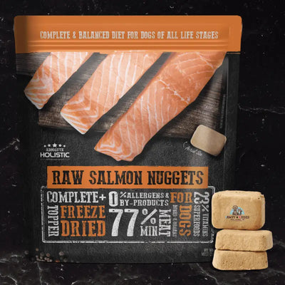 Absolute Holistic Absolute Holistic Complete & Balanced Freeze Dried Raw Nuggets Dog Food - Salmon (14oz) Dog Food & Treats