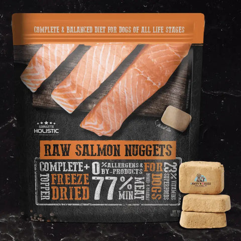 Absolute Holistic Absolute Holistic Complete & Balanced Freeze Dried Raw Nuggets Dog Food - Salmon (14oz) Dog Food & Treats