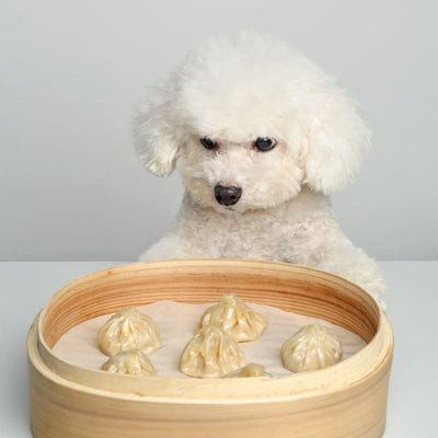 BossiPaws BossiPaws Dim Sum Xiao Long Bao Frozen Dog Treats 300g Dog Food & Treats