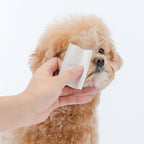 PetO'CERA Pure Cotton Pad 80 pcs for Dogs and Cats