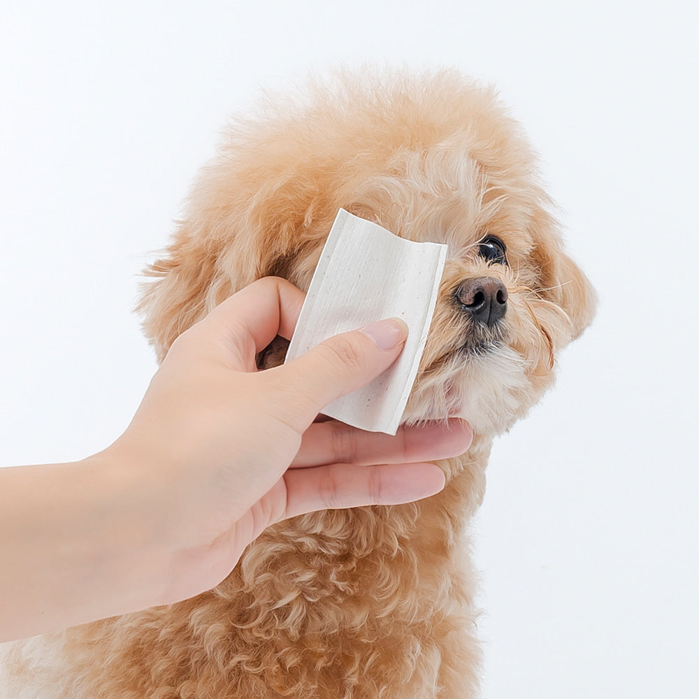 PetO'CERA Pure Cotton Pad 80 pcs for Dogs and Cats