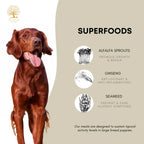 Essential Foods 20% OFF New Launch Essential the Beginning Large Breed Dry Dog Food (Large Kibble) Dog Food & Treats