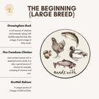 Essential Foods 20% OFF New Launch Essential the Beginning Large Breed Dry Dog Food (Large Kibble) Dog Food & Treats