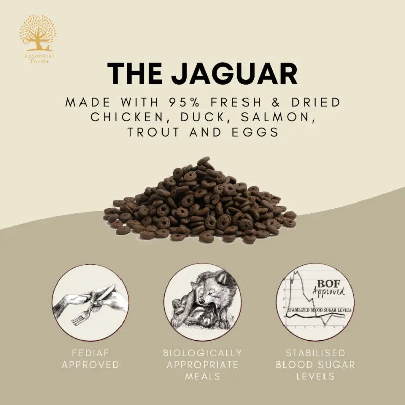 Essential Foods 20% OFF New Launch Essential The Jaguar Cat Dry Food Cat Food & Treats