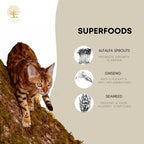 Essential Foods 20% OFF New Launch Essential The Jaguar Cat Dry Food Cat Food & Treats