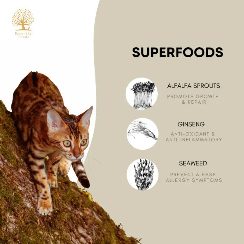 Essential Foods 20% OFF New Launch Essential The Jaguar Cat Dry Food Cat Food & Treats