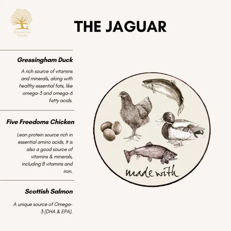 Essential Foods 20% OFF New Launch Essential The Jaguar Cat Dry Food Cat Food & Treats