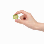 Arlo Kitchen - 100% Korean-grown Okra 10g Treats For Dogs