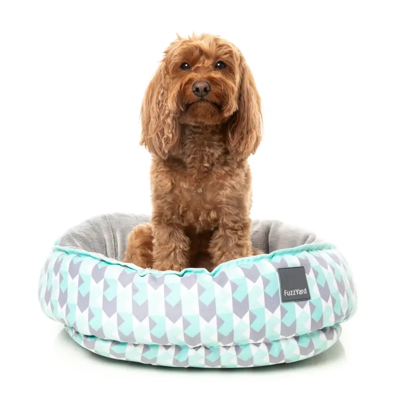 Fuzzyard [15% OFF] Reversible Pet Bed - Mint Fizz (3 Sizes) Dog & Cat Accessories