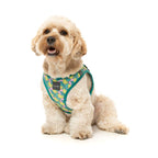 Fuzzyard [15% OFF] Fuzzyard Bananarama Dog Step-in Harness (6 Sizes) Dog Accessories