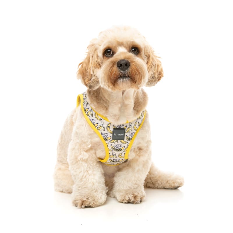Fuzzyard [15% OFF] Fuzzyard Go Bananas Dog Step-in Harness (6 Sizes) Dog Accessories