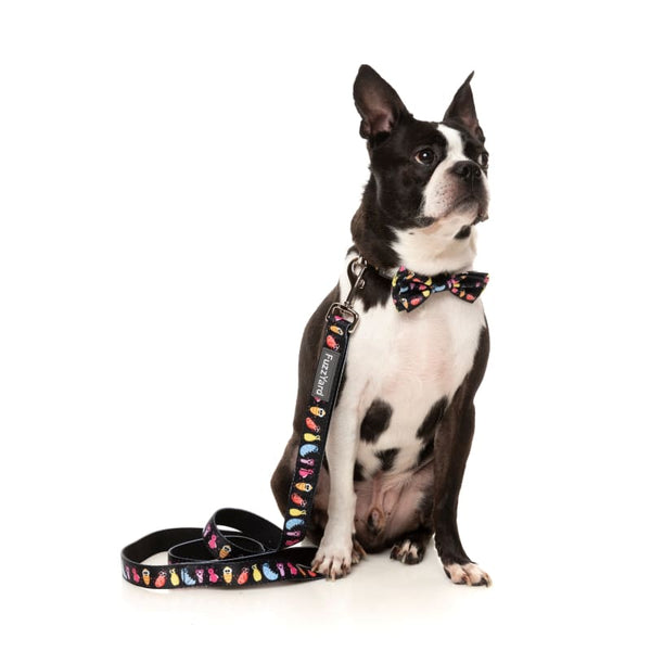 Fuzzyard [15% OFF] Fuzzyard Bed Bugs Dog Collar (3 Sizes) Dog Accessories