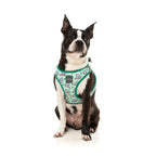 Fuzzyard [15% OFF] Fuzzyard Dreamtime Koalas Dog Step-in Harness (6 Sizes) Dog Accessories
