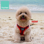 Fuzzyard [15% OFF] Fuzzyard Heart Breaker Dog Step-in Harness (6 Sizes) Dog Accessories