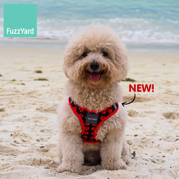 Fuzzyard [15% OFF] Fuzzyard Heart Breaker Dog Step-in Harness (6 Sizes) Dog Accessories