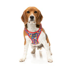 Fuzzyard [15% OFF] Fuzzyard Highscore Dog Step-in Harness (6 Sizes) Dog Accessories