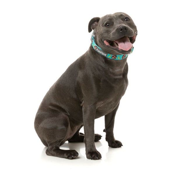 Fuzzyard [15% OFF] Fuzzyard Gor-illz Dog Collar (3 Sizes) Dog Accessories