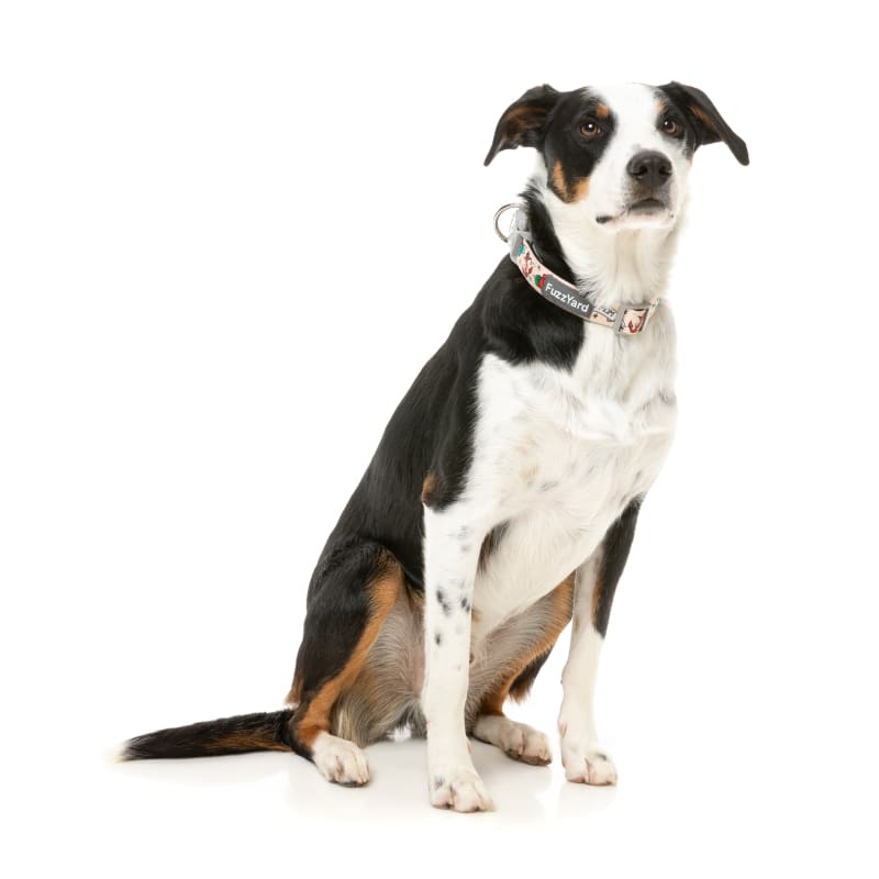 Fuzzyard [15% OFF] Fuzzyard Ink’d Dog Collar (3 Sizes) Dog Accessories