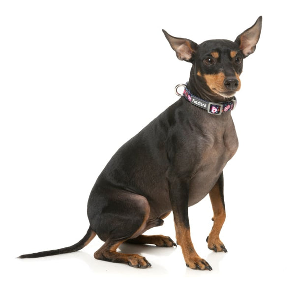 Fuzzyard [15% OFF] Fuzzyard Jackpup Dog Collar (3 Sizes) Dog Accessories