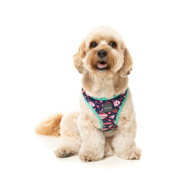 Fuzzyard [15% OFF] Fuzzyard Jackpup Dog Step-in Harness (6 Sizes) Dog Accessories