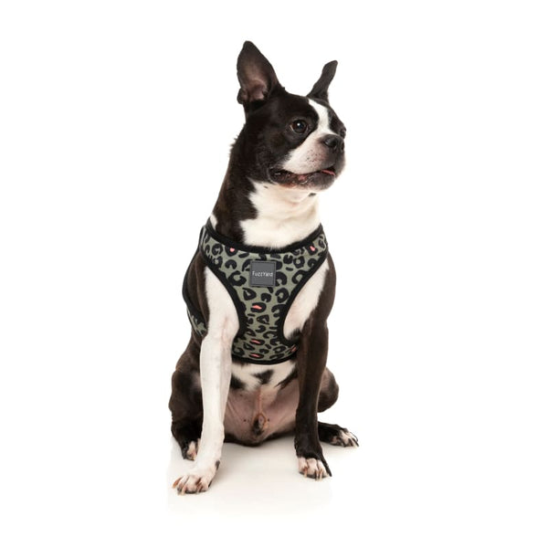 Fuzzyard [15% OFF] Fuzzyard Savanna Dog Step-in Harness (6 Sizes) Dog Accessories